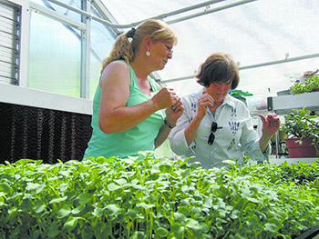Cleveland County Kitchen showcases local produce