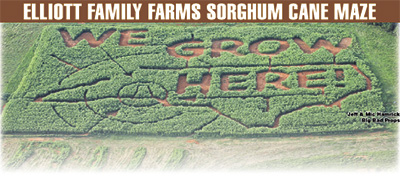ELLIOTT FAMILY FARMS Sorghum Cane Maze