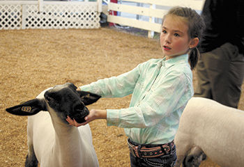 Lamb handlers earn top honors at Cleveland County Fair