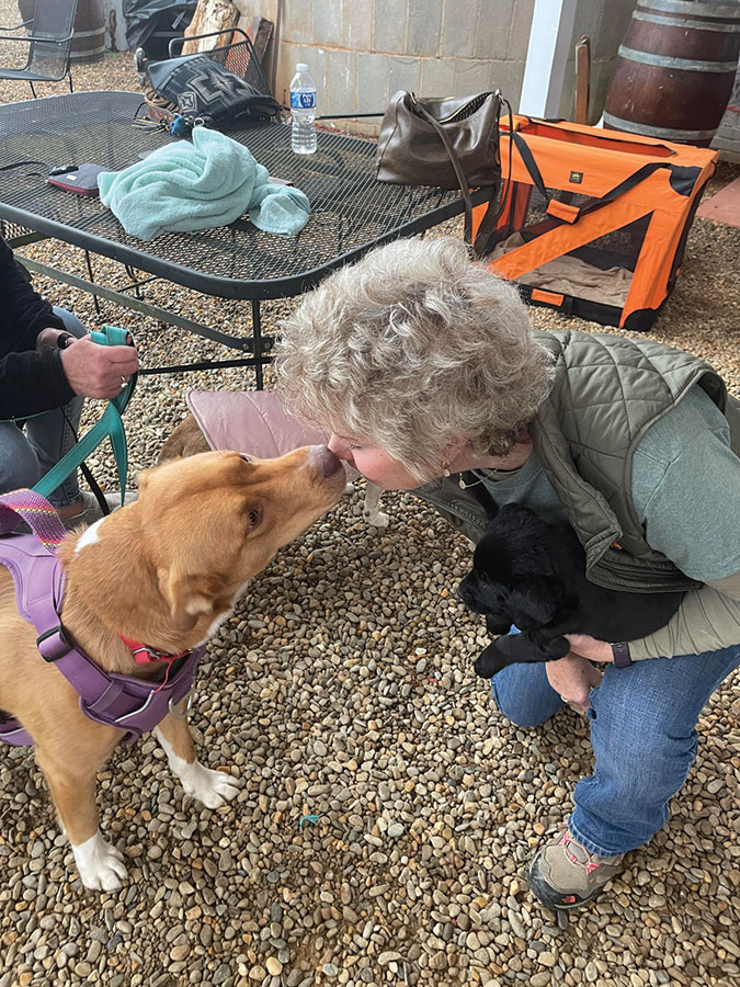 Sherry Henderson gets a kiss from Sienna, while cuddling Willow at Pet N' Sip and Blessing of the Animals at Baker Buffalo Creek Vineyards. Sienna and