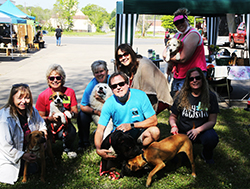 Volunteers from Clifford's Army Rescue and pets that are available for adoption pose for a photo at the Broad River Hemp Company 3rd Celebration in Sh