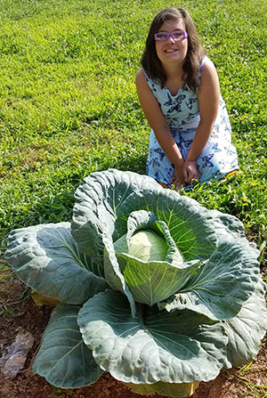 WHOPPER OF A CABBAGE!
