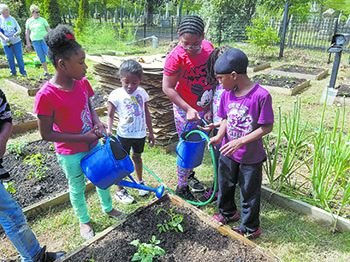 Boys & Girls Club kids learn joy of gardening