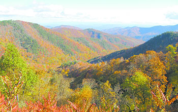 Federal Land and Water Conservation Fund protects key Pisgah National Forest and Blue Ridge Parkway Tract