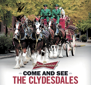 COME & SEE THE CLYDESDALES!