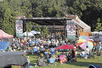 Clear Mountain View IV Music Festival brings music, visitors to county 