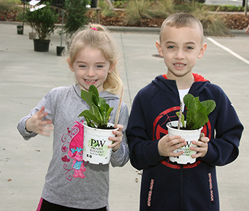 FOOTHILLS FARMERS' MARKET OPENING DAY...