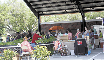 Foothills Farmers' Market Grand Opening in City Pavilion