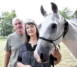 Stolen horse inspires international organization 