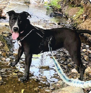 Meet INKY Sweet Sweet Girl!