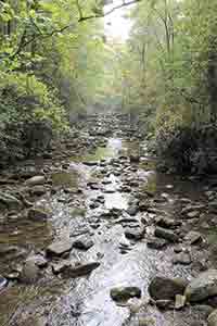 Foothills Conservancy marks 20th anniversary