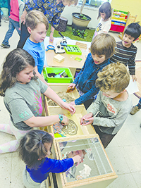Kids Place Ecology Room offers hands-on learning 