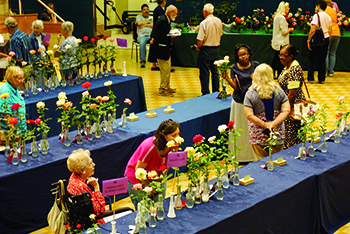 Rose Society Annual Rose Show is Sept 30, 2017