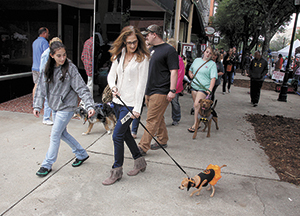 2016 Mush, Music & Mutts Held In Uptown Shelby