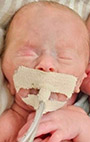 Madaline Grace Hamrick