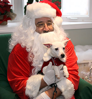 Paws and Claus Fundraiser...