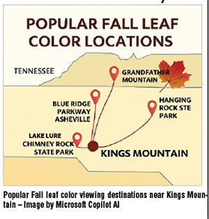 Leaf season returns: where to see Fall colors nearby