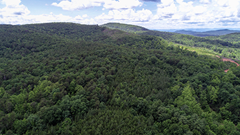 Foothills Conservancy of NC adds 303 acres to South Mountains headwaters preserve
