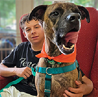 Meet ROCKET: 4 years old, mixed breed, 50 lbs.