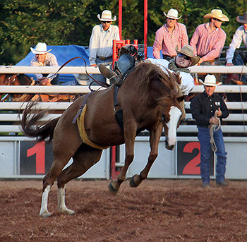 RODEO POLKVILLE...