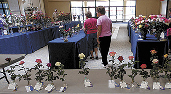 Cleveland - Lincoln County Rose Society 42nd Annual Rose Show