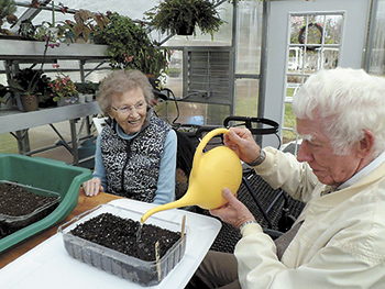 New greenhouse lifts spirits...