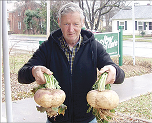 Giant Turnips