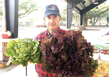 Foothills Farmers' Market to  extend to a year-round market