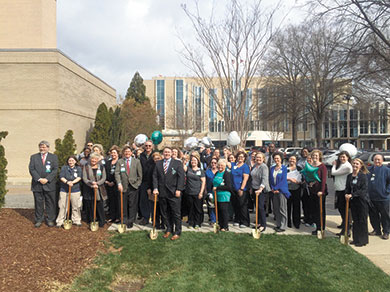 Carolinas HealthCare System celebrates new mission statement with tree planting