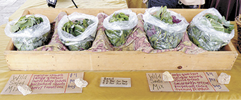 Foothills Farmers' Market ...