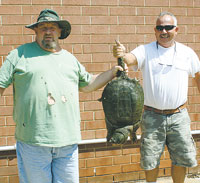Sportsmen catch snapping turtle