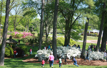 Easter Celebration And Egg Hunt At Shelby City Park