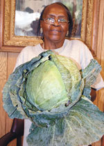 WHOPPER CABBAGE!