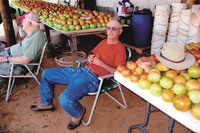 Help & Pray For “The Tomato Man”