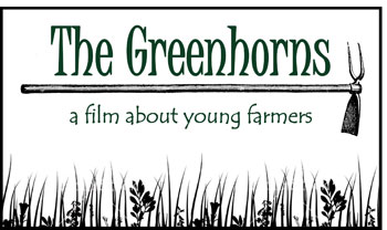 THE GREENHORNS 