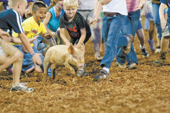 RODEO POLKVILLE IS THIS WEEKEND!