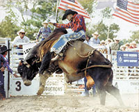 4th Annual Boiling Springs Bull Riding April 12-13