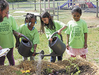 Look for the Eat Smart Move More School Community Gardens! 