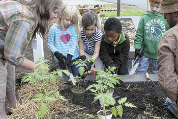 EAT SMART MOVE MORE SCHOOL COMMUNITY GARDENS...