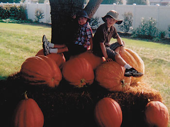 PUMPKIN PATCH KIDS