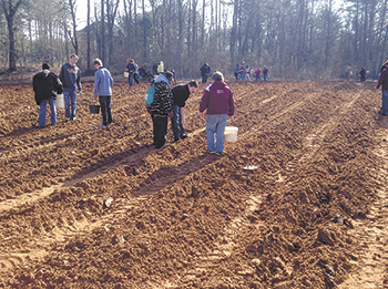 The 2014 Cleveland County Potato Project season begins...