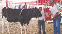 Twenty-One Youth Complete 4-H Livestock Project