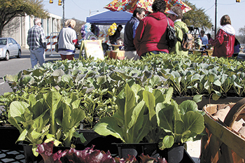 Foothills Farmers' Market Opening Day is April 5th 2014
