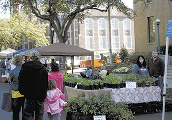 Foothills Farmers’ Market Draws Big Crowd