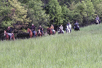 Equesterians for the Cure 6th annual trail ride