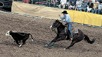 Pro Rodeo Returns to The BAR H Arena