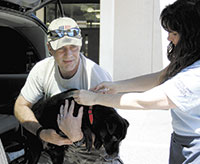 Free Rabies Vaccine Clinic Huge Success