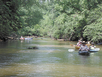 Paddling The First Broad River