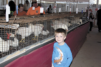 CLEVELAND COUNTY FAIR’S POULTRY BARN 