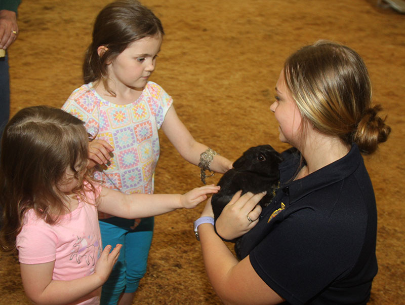 Ava Jensen Burns High FFA vice president shows a rabbit to sisters Emerson and Lyla McMurry at Burns High FFA Farm Day.